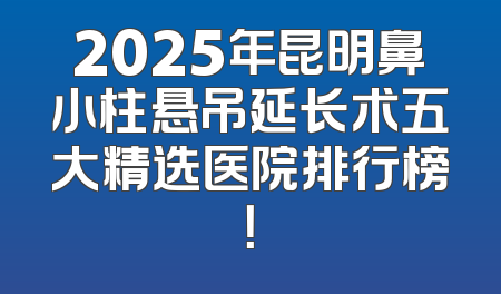 2025年昆明鼻小柱悬吊延长术五大精选医院排行榜！