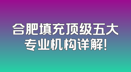 合肥填充顶级五大专业机构详解！