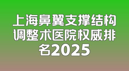 上海鼻翼支撑结构调整术医院权威排名2025