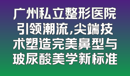 广州私立整形医院引领潮流，尖端技术塑造完美鼻型与玻尿酸美学新标准