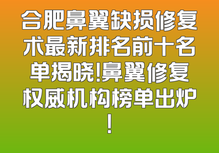 合肥鼻翼缺损修复术最新排名前十名单揭晓！鼻翼修复权威机构榜单出炉！