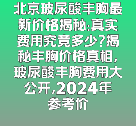 北京玻尿酸丰胸最新价格揭秘：真实费用究竟多少？揭秘丰胸价格真相，玻尿酸丰胸费用大公开，2024年参考价