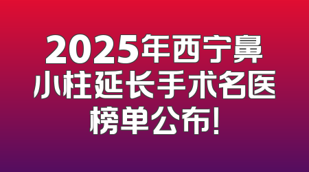 2025年西宁鼻小柱延长手术名医榜单公布！