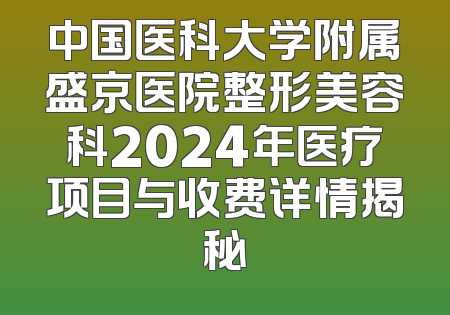 中国医科大学附属盛京医院整形美容科2024年医疗项目与收费详情揭秘