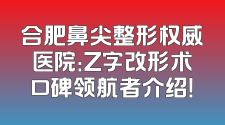 合肥鼻尖整形权威医院：Z字改形术口碑领航者介绍！