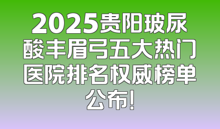 2025贵阳玻尿酸丰眉弓五大热门医院排名权威榜单公布！