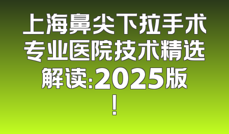 上海鼻尖下拉手术专业医院技术精选解读：2025版！