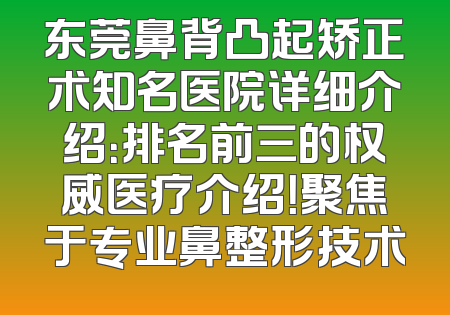 东莞鼻背凸起矫正术知名医院详细介绍：排名前三的权威医疗介绍！聚焦于专业鼻整形技术