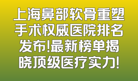 上海鼻部软骨重塑手术权威医院排名发布！最新榜单揭晓顶级医疗实力！