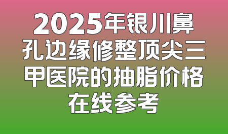 2025年银川鼻孔边缘修整顶尖三甲医院的抽脂价格在线参考
