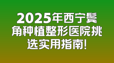 2025年西宁鬓角种植整形医院挑选实用指南！