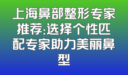 上海鼻部整形专家推荐：选择个性匹配专家助力美丽鼻型