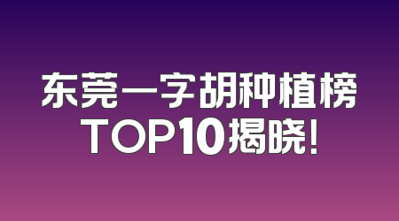 东莞一字胡种植榜TOP10揭晓！