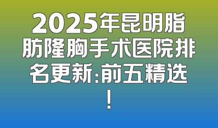 2025年昆明脂肪隆胸手术医院排名更新：前五精选！