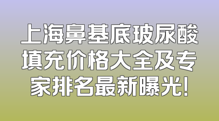 上海鼻基底玻尿酸填充价格大全及专家排名最新曝光！