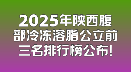 2025年陕西腹部冷冻溶脂公立前三名排行榜公布！