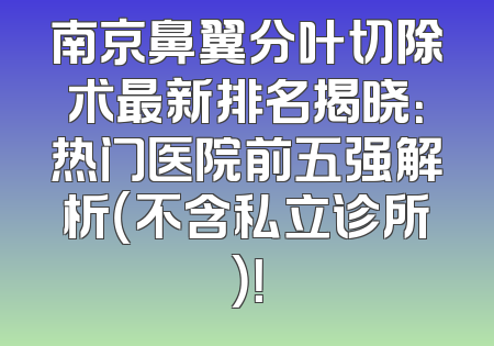 南京鼻翼分叶切除术最新排名揭晓：热门医院前五强解析（不含私立诊所）！