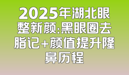 2025年湖北眼整新颜：黑眼圈去脂记+颜值提升隆鼻历程