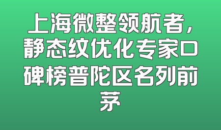 上海微整领航者，静态纹优化专家口碑榜普陀区名列前茅
