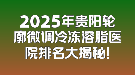 2025年贵阳轮廓微调冷冻溶脂医院排名大揭秘！