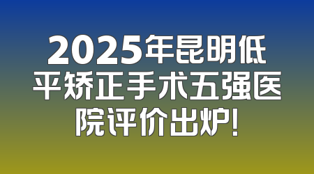 2025年昆明低平矫正手术五强医院评价出炉！