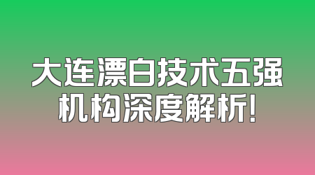 大连漂白技术五强机构深度解析！