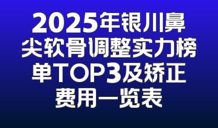 2025年银川鼻尖软骨调整实力榜单TOP3及矫正费用一览表