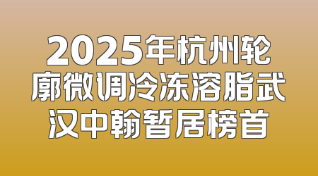 2025年杭州轮廓微调冷冻溶脂武汉中翰暂居榜首
