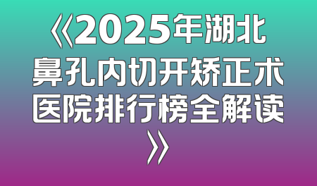 《2025年湖北鼻孔内切开矫正术医院排行榜全解读》