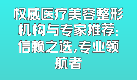 权威医疗美容整形机构与专家推荐：信赖之选，专业领航者