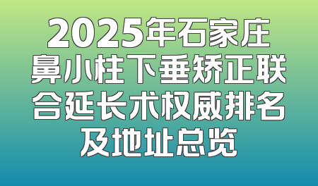2025年石家庄鼻小柱下垂矫正联合延长术权威排名及地址总览
