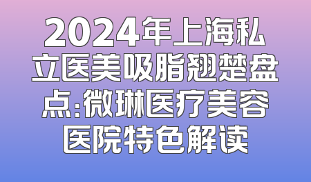 2024年上海私立医美吸脂翘楚盘点：微琳医疗美容医院特色解读