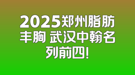 2025郑州脂肪丰胸 武汉中翰名列前四!