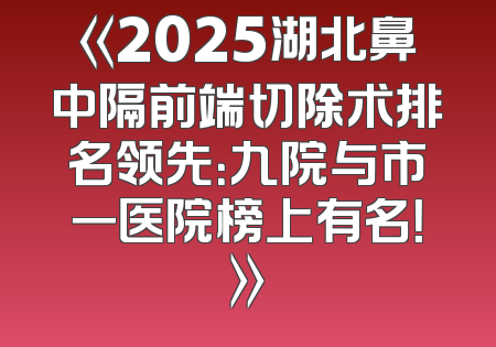 《2025湖北鼻中隔前端切除术排名领先：九院与市一医院榜上有名！》