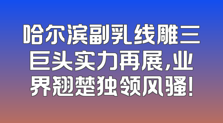 哈尔滨副乳线雕三巨头实力再展，业界翘楚独领风骚！
