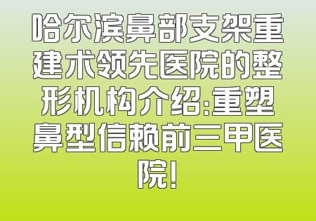 哈尔滨鼻部支架重建术领先医院的整形机构介绍：重塑鼻型信赖前三甲医院!