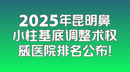 2025年昆明鼻小柱基底调整术权威医院排名公布！