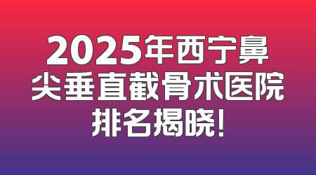 2025年西宁鼻尖垂直截骨术医院排名揭晓！