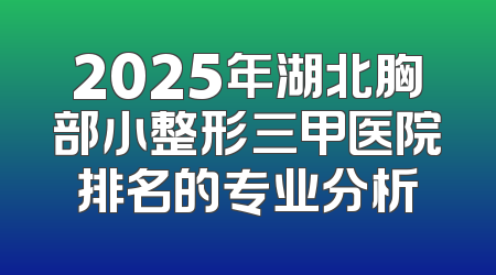 2025年湖北胸部小整形三甲医院排名的专业分析