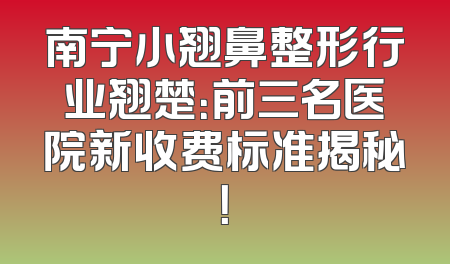 南宁小翘鼻整形行业翘楚：前三名医院新收费标准揭秘！