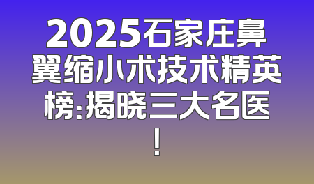 2025石家庄鼻翼缩小术技术精英榜：揭晓三大名医！