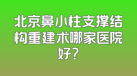 北京鼻小柱支撑结构重建术哪家医院好？