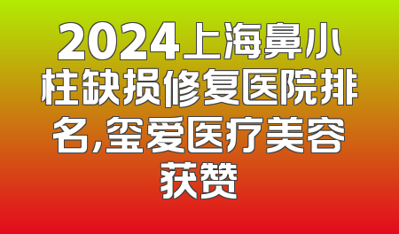2024上海鼻小柱缺损修复医院排名，玺爱医疗美容获赞