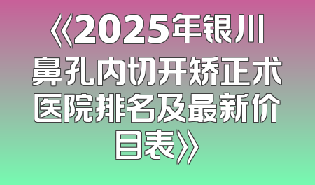 《2025年银川鼻孔内切开矫正术医院排名及最新价目表》