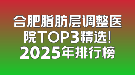 合肥脂肪层调整医院TOP3精选！2025年排行榜