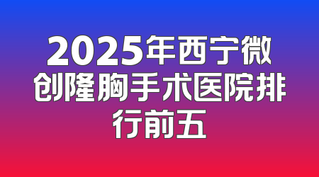 2025年西宁微创隆胸手术医院排行前五