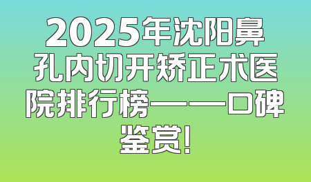 2025年沈阳鼻孔内切开矫正术医院排行榜——口碑鉴赏！