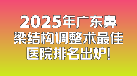 2025年广东鼻梁结构调整术最佳医院排名出炉！