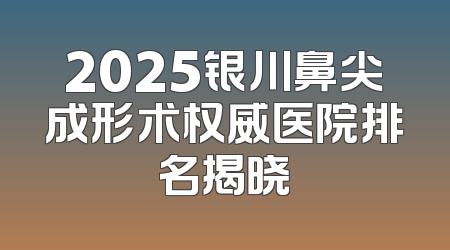2025银川鼻尖成形术权威医院排名揭晓