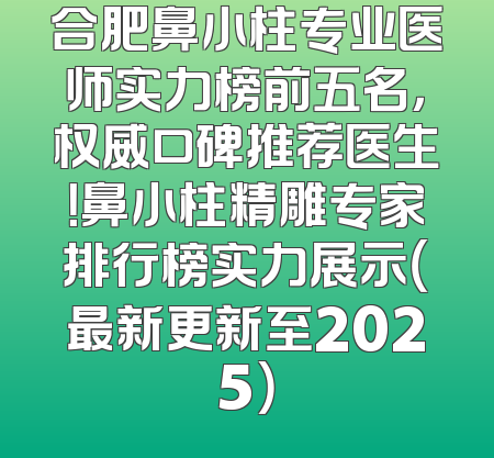合肥鼻小柱专业医师实力榜前五名，权威口碑推荐医生！鼻小柱精雕专家排行榜实力展示（最新更新至2025）